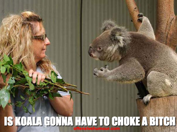 koala choke a bitch